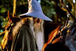 The Lord of the Rings: The Fellowship of the Ring (2001) - Ian McKellen