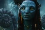 Bild zu: Avatar