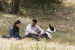 Seven Pounds (2008) - Will Smith, Rosario Dawson