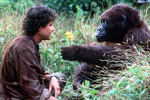 Bild zu: Congo