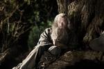 The Hobbit: An Unexpected Journey (2012) - Ian McKellen