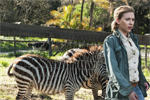 Bild zu: We Bought a Zoo