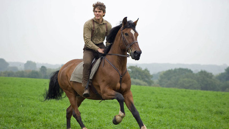 War Horse