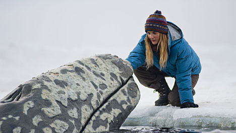 Big Miracle