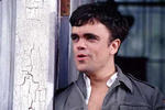 The Station Agent (2003) - Peter Dinklage