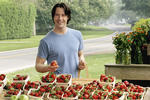 Something's Gotta Give (2003) - Keanu Reeves Something's Gotta Give (2003) - Keanu Reeves