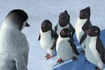 Bild zu: Happy Feet