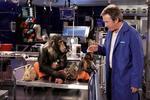 Shaggy Dog (2006) - Tim Allen