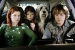 Bild zu: Shaggy Dog - H�r mal wer da bellt